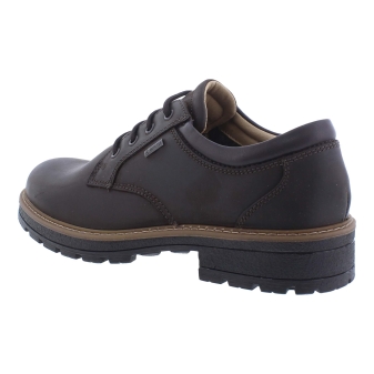 Ara 11-23656-19 bruin