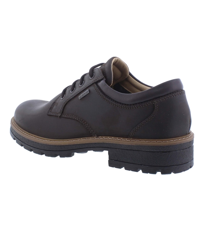 Ara 11-23656-19 bruin
