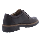 Ara 11-23656-19 bruin
