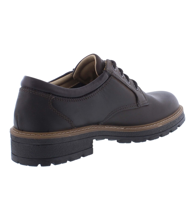 Ara 11-23656-19 bruin