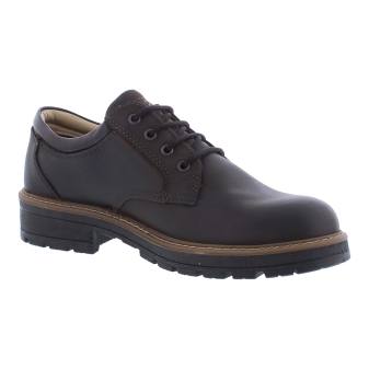 Ara 11-23656-19 bruin