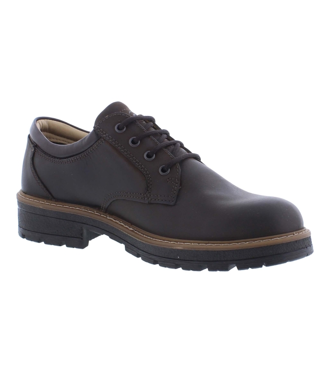 Ara 11-23656-19 bruin