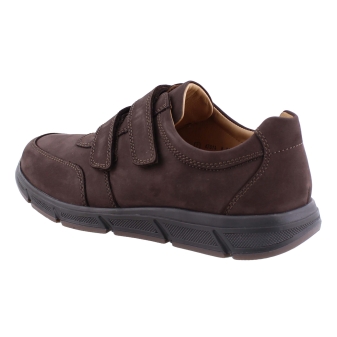 Solidus 67014 bruin