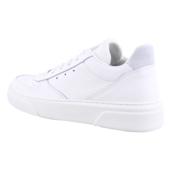 STEVE MADDEN sm12000357-03001 wit