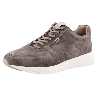 Greve 7280.05 taupe