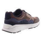 Xsensible 33200.2 Golden Gate bruin