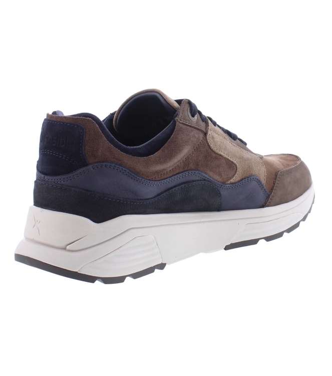 Xsensible 33200.2 Golden Gate bruin