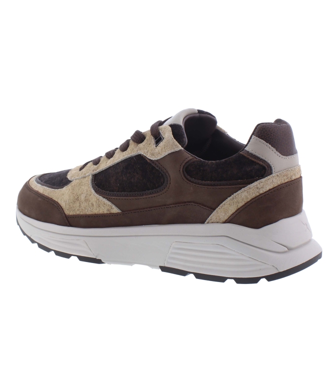 Xsensible 33204.4 Manhattan bruin