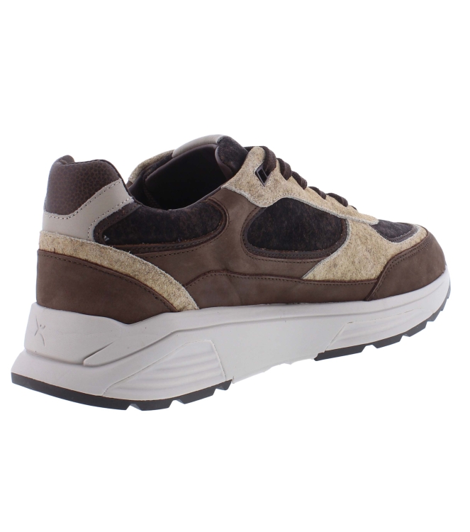 Xsensible 33204.4 Manhattan bruin