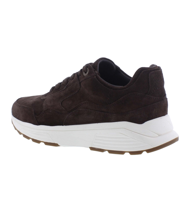 Xsensible 33200.4 bruin