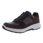 Xsensible 34202.3 bruin