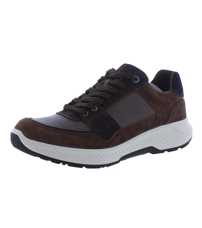 Xsensible 34202.3 bruin
