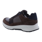 Xsensible 34202.3 bruin