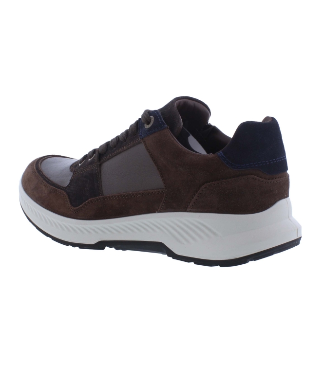 Xsensible 34202.3 bruin