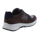 Xsensible 34202.3 bruin