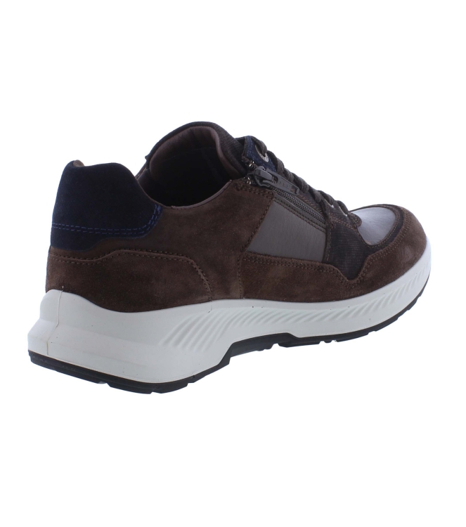 Xsensible 34202.3 bruin