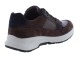 Xsensible 34202.3 bruin
