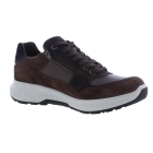 Xsensible 34202.3 bruin