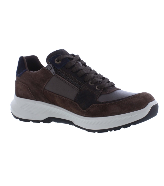 Xsensible 34202.3 bruin