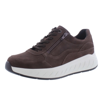 Solidus 71122 Ken bruin