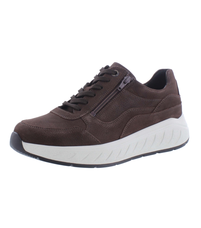 Solidus 71122 Ken bruin