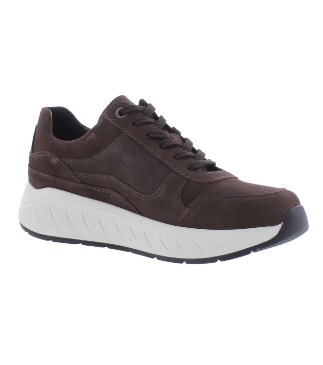 Solidus 71122 Ken bruin