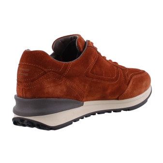 Greve 7258 bruin