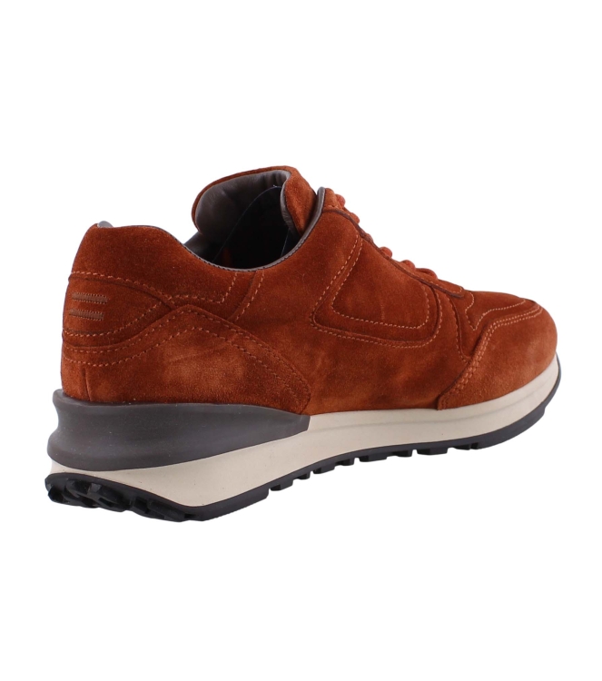 Greve 7258 bruin