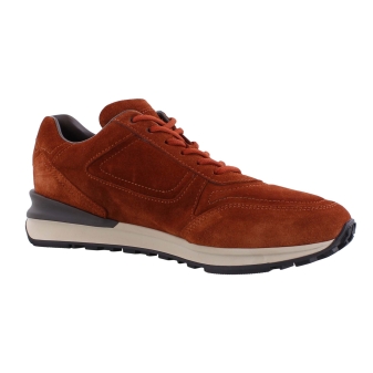 Greve 7258 bruin