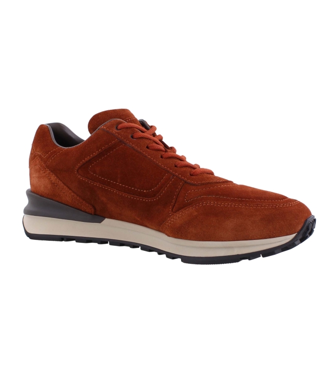Greve 7258 bruin