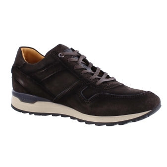 Greve 7243.25 bruin