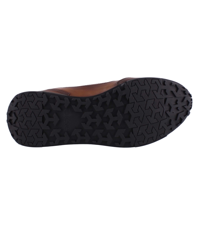Greve 7258.88-001 bruin
