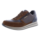 Mephisto Gilford bruin