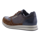 Mephisto Gilford bruin