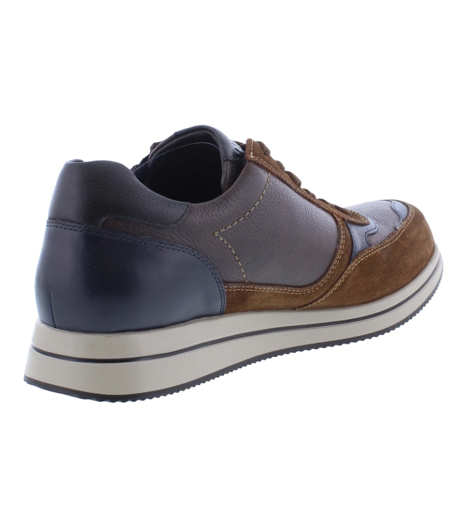 Mephisto Gilford bruin