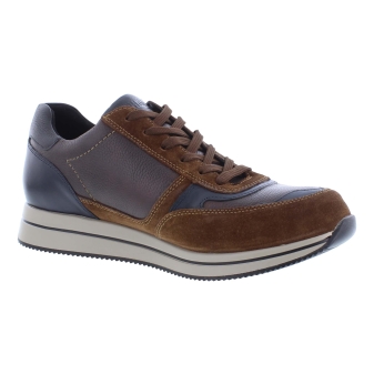 Mephisto Gilford bruin