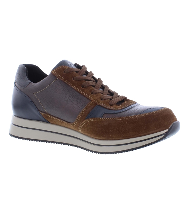 Mephisto Gilford bruin