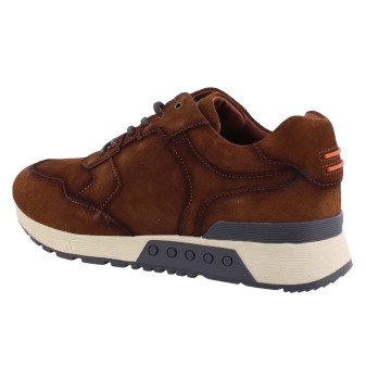 Greve 4289.88-001 bruin