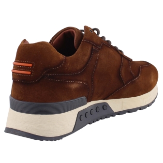 Greve 4289.88-001 bruin