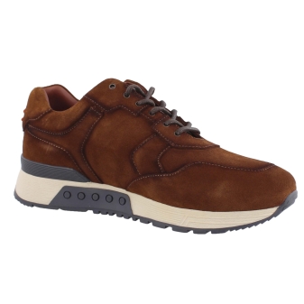 Greve 4289.88-001 bruin