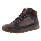 Mephisto Pitt bruin