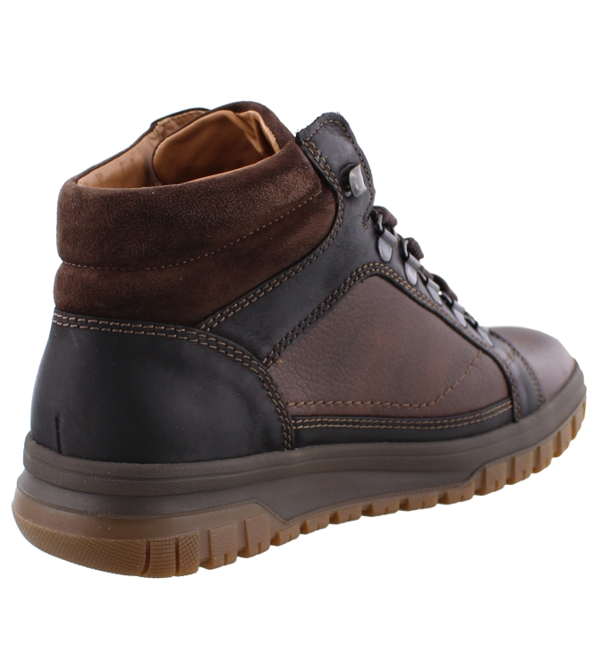 Mephisto Pitt bruin