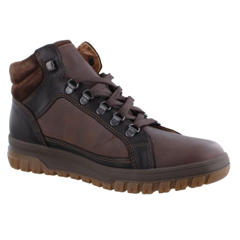Mephisto Pitt bruin