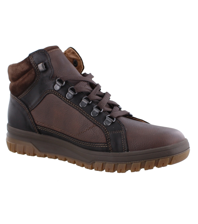 Mephisto Pitt bruin