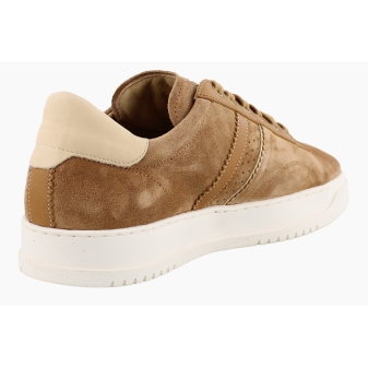 Panama Jack Game C1 bruin