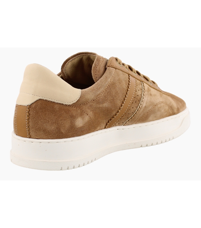 Panama Jack Game C1 bruin