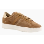 Panama Jack Game C1 bruin