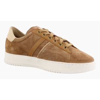 Panama Jack Game C1 bruin