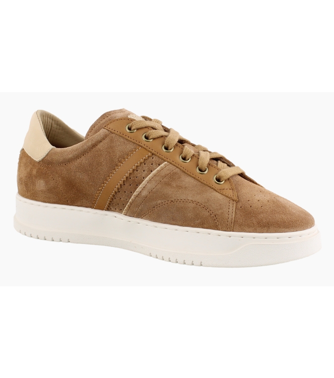 Panama Jack Game C1 bruin