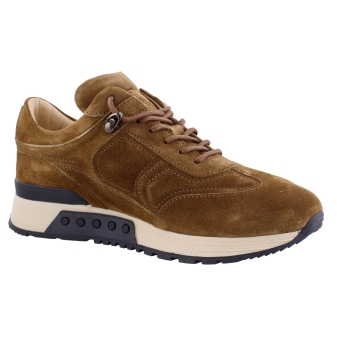 Greve 4241.20 bruin